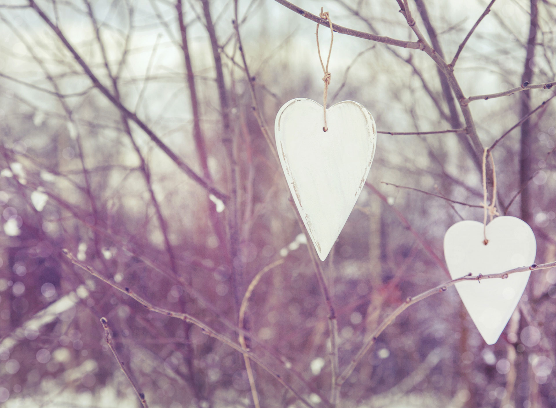 Wooden hearts on a string hanging from winter branches