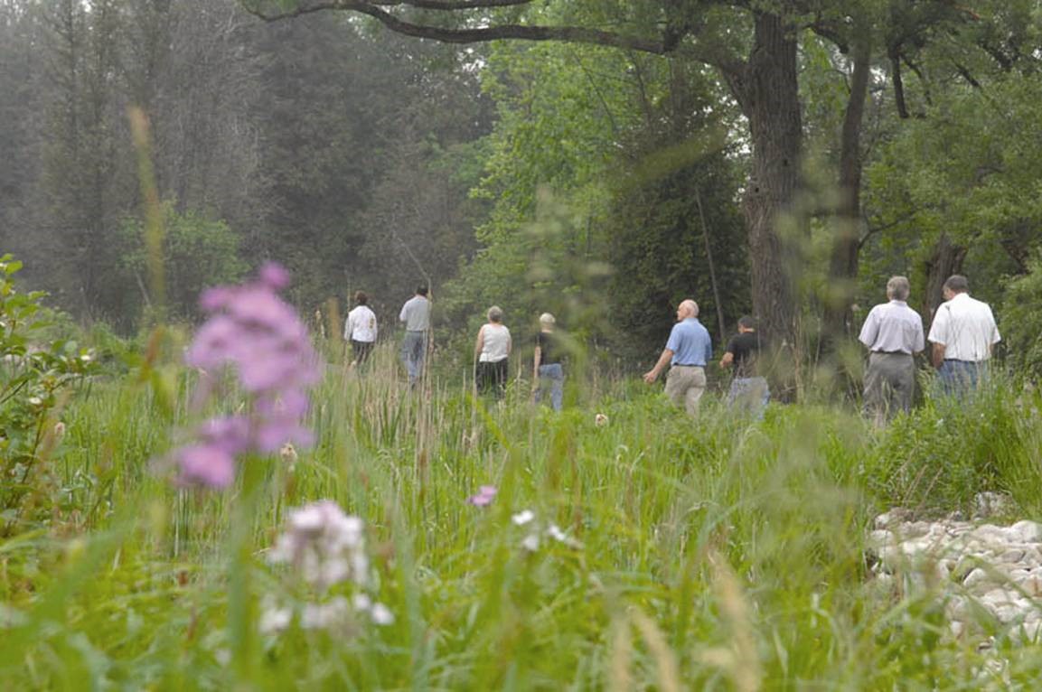 Bereavement Walking Group