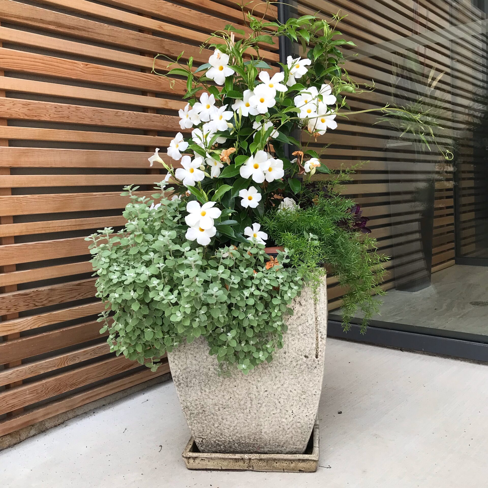 A new planter at Hospice Waterloo Region