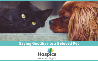 Saying Goodbye to a Beloved Pet