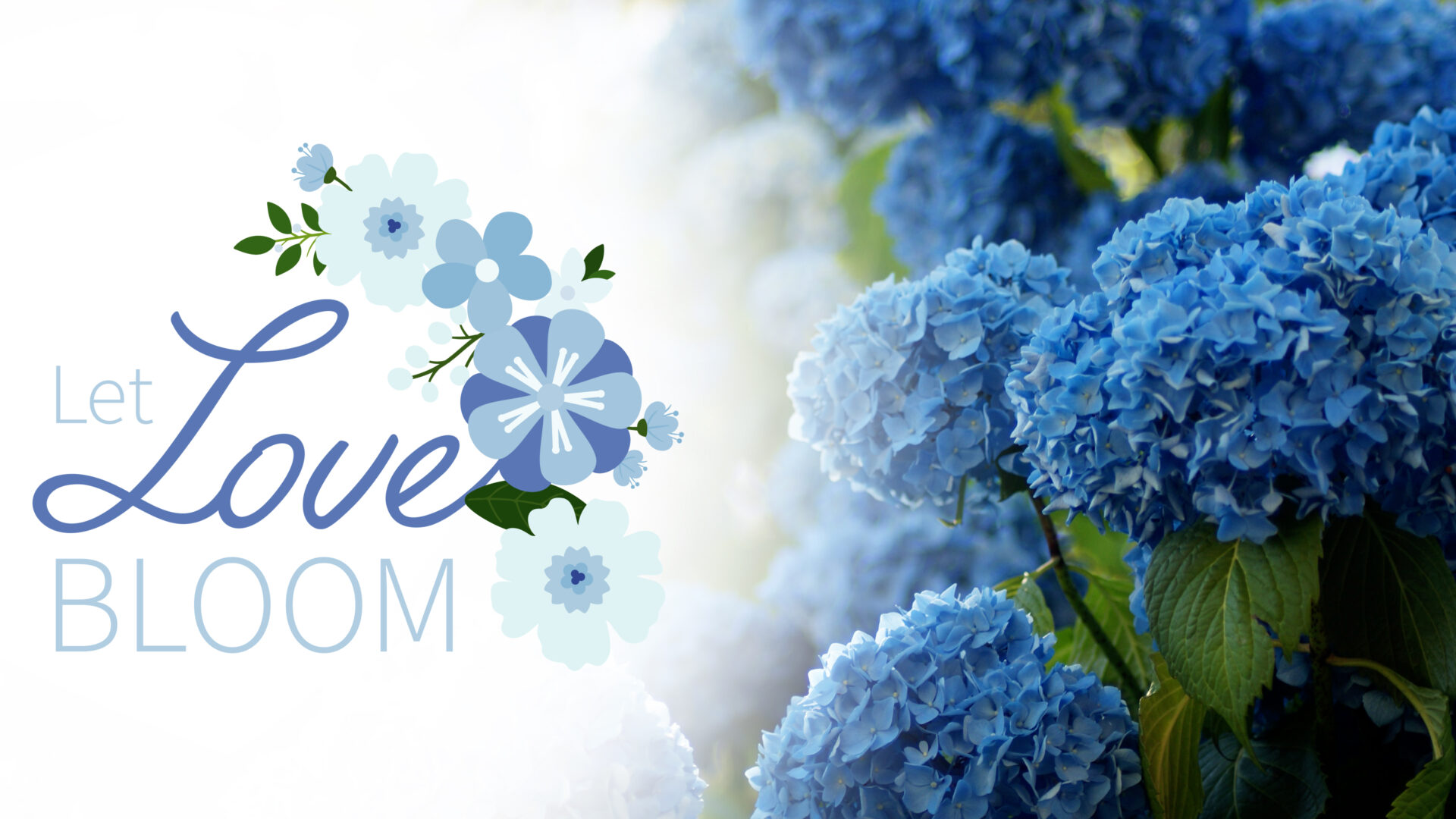 Let Love Bloom Let Love Bloom