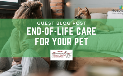 Guest Blog: End-Of-Life Care For Your Pet￼