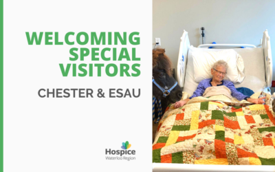 Welcoming Special Visitors: Chester & Esau