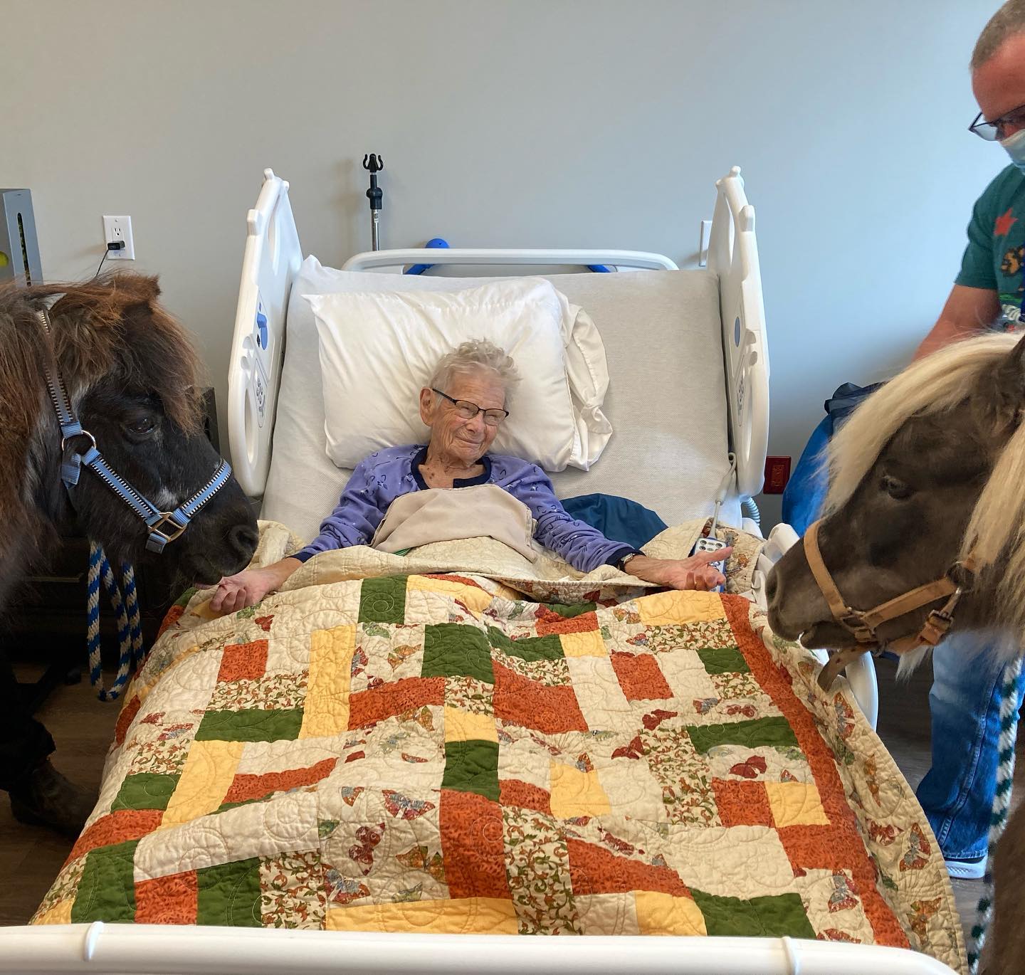 A woman laying in a hospital bed with a pony on either side of her