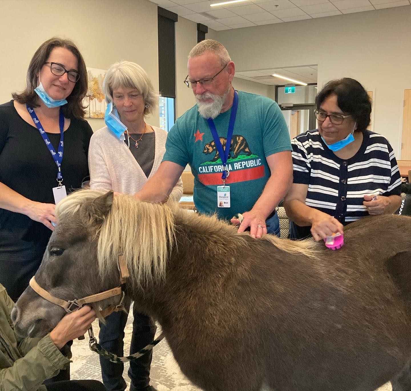 Group of people pet a pony