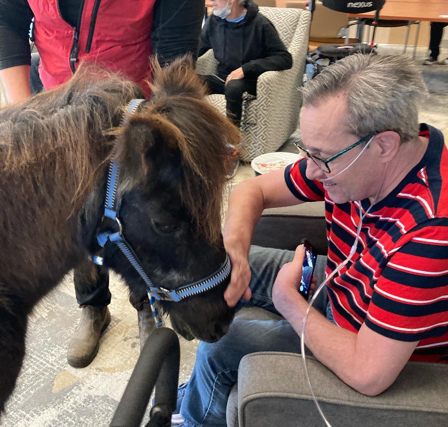 A man pets a pony