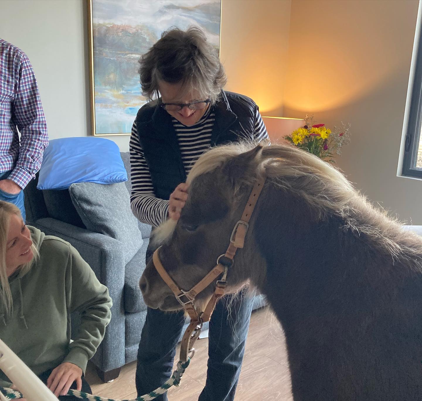 woman pets pony