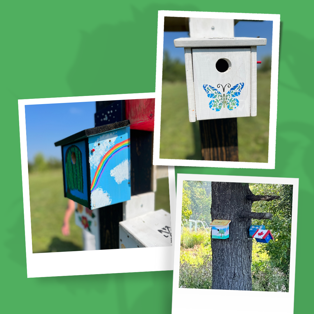 Three photos of bird houses